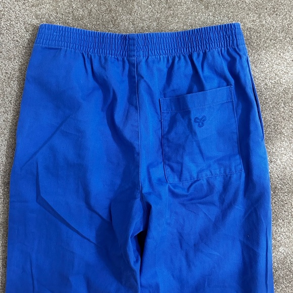 Aritzia tna blue Christie pants!! - Picture 5 of 5